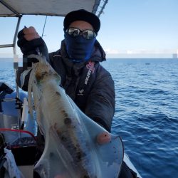 ソルトウォーターガイドフレンズ 釣果