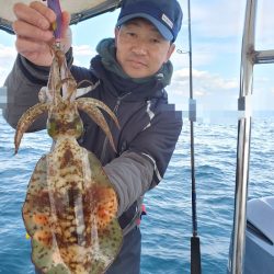 ソルトウォーターガイドフレンズ 釣果