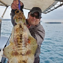 ソルトウォーターガイドフレンズ 釣果