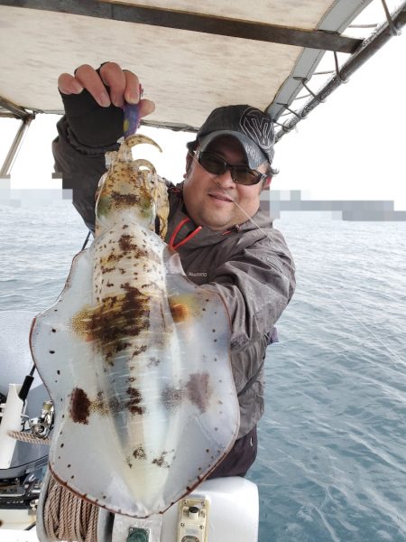 ソルトウォーターガイドフレンズ 釣果
