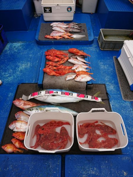 清和丸 釣果