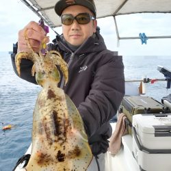 ソルトウォーターガイドフレンズ 釣果