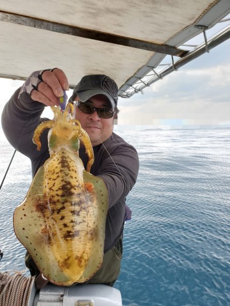 ソルトウォーターガイドフレンズ 釣果