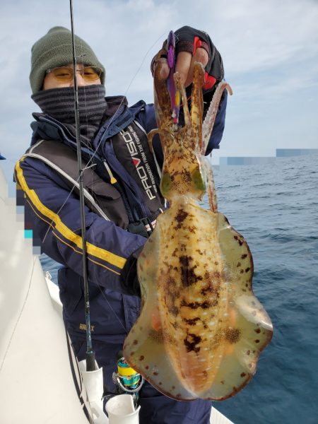 ソルトウォーターガイドフレンズ 釣果