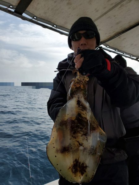 ソルトウォーターガイドフレンズ 釣果