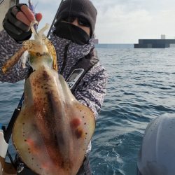 ソルトウォーターガイドフレンズ 釣果