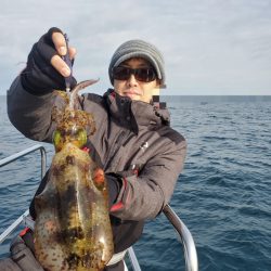 ソルトウォーターガイドフレンズ 釣果