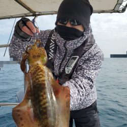 ソルトウォーターガイドフレンズ 釣果