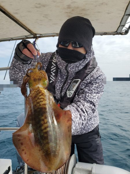 ソルトウォーターガイドフレンズ 釣果