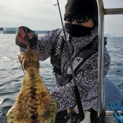 ソルトウォーターガイドフレンズ 釣果