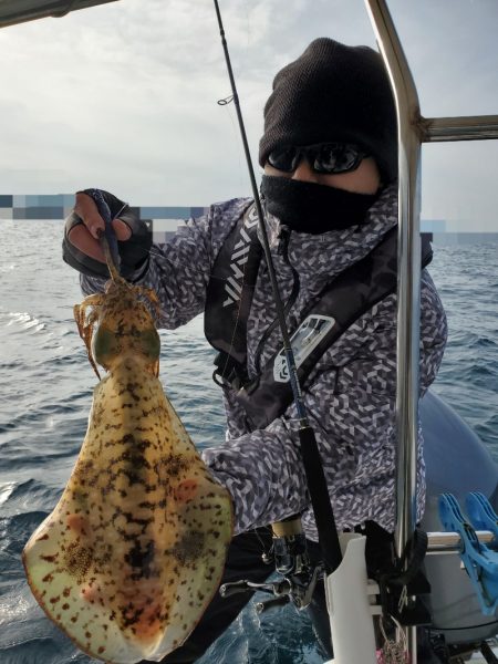 ソルトウォーターガイドフレンズ 釣果