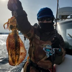 ソルトウォーターガイドフレンズ 釣果