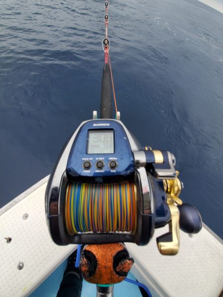 海晴丸 釣果