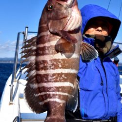 渡船屋たにぐち 釣果