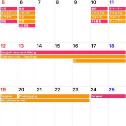 「LaGooN」蒼陽丸 日和号 釣果