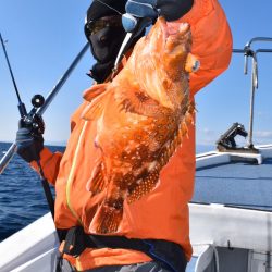 渡船屋たにぐち 釣果