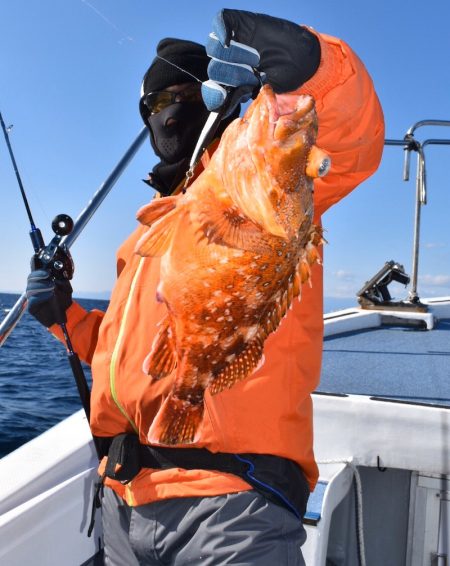 渡船屋たにぐち 釣果