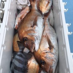 第二八坂丸 釣果