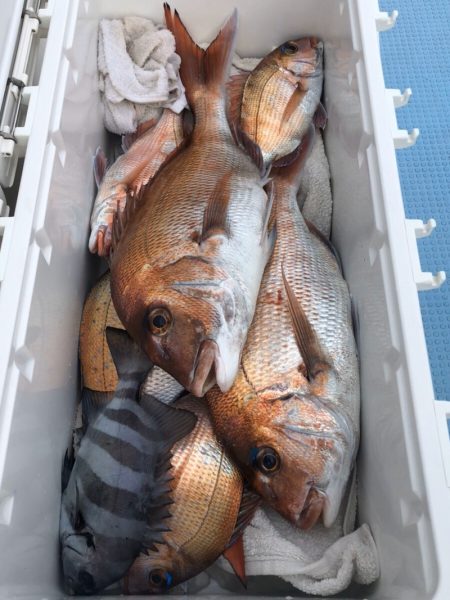 第二八坂丸 釣果