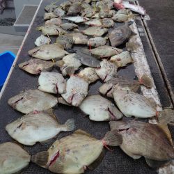 ブルースフィッシングサービス 釣果