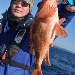 渡船屋たにぐち 釣果