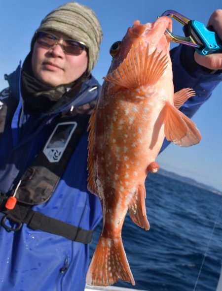 渡船屋たにぐち 釣果