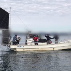 遊漁船メテオ 釣果