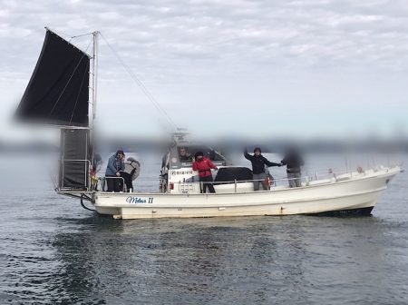 遊漁船メテオ 釣果