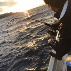 幕島丸 釣果