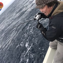 幕島丸 釣果