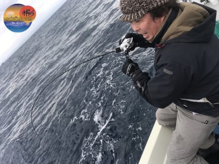 幕島丸 釣果