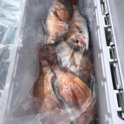 第二八坂丸 釣果