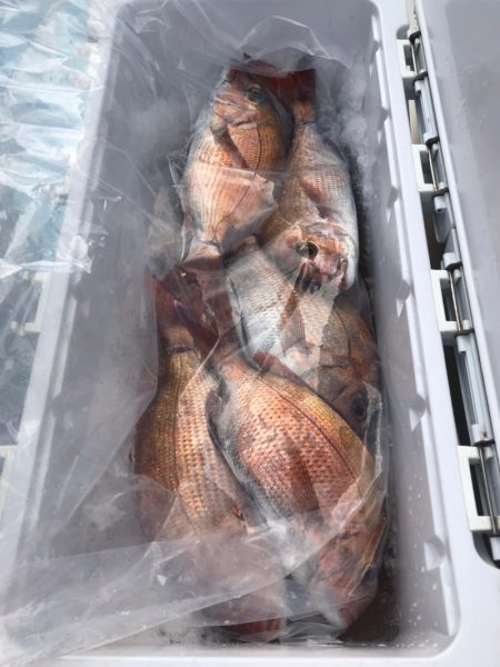 第二八坂丸 釣果