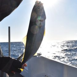 渡船屋たにぐち 釣果