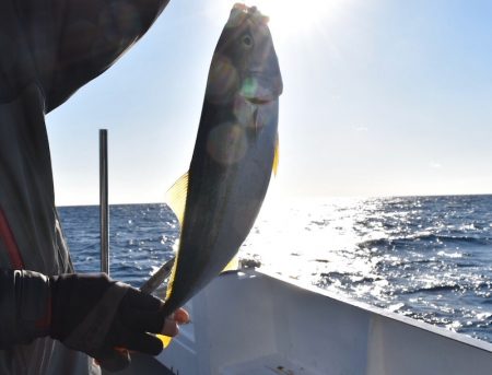渡船屋たにぐち 釣果