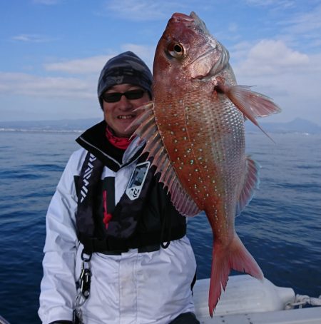 遊漁船 家入 釣果