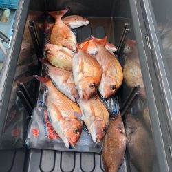 第二八坂丸 釣果