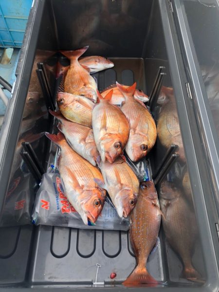 第二八坂丸 釣果