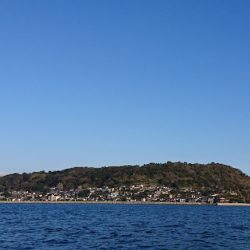 遊漁船 家入 釣果