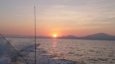 遊漁船　家入 釣果