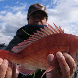 第三共栄丸 釣果
