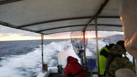 第二龍勢丸 釣果