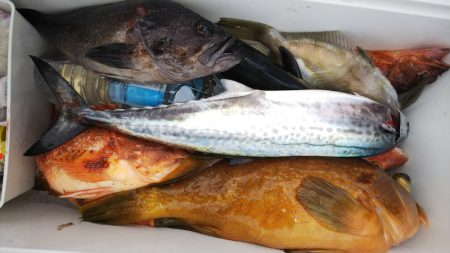 第二龍勢丸 釣果