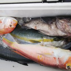 第二龍勢丸 釣果