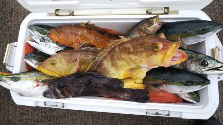 第二龍勢丸 釣果