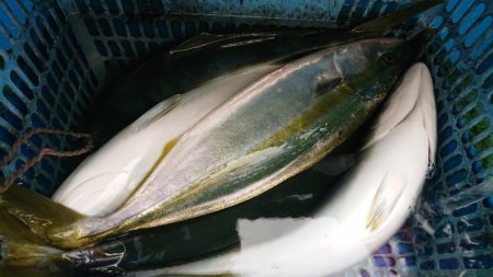 竹宝丸 釣果