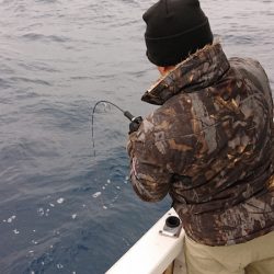 海皇丸 釣果