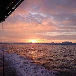 遊漁船 家入 釣果