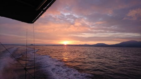 遊漁船　家入 釣果