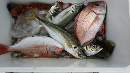 海龍丸（石川） 釣果